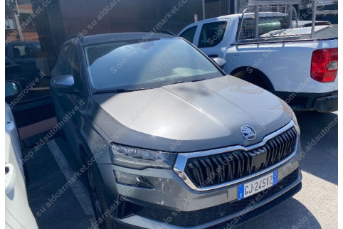 2022 Skoda Karoq, Dyzelinas